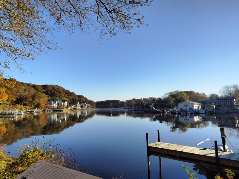 Shoreline Birdwatch Interlude