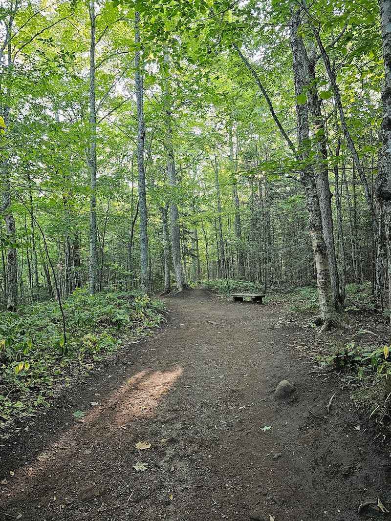 Year-Round Access Without Hassle