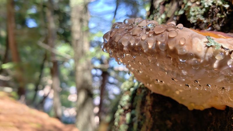 Weather And Lake Superior Mood