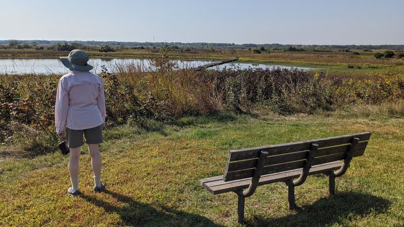 Quiet Mornings For Families And Nature Lovers