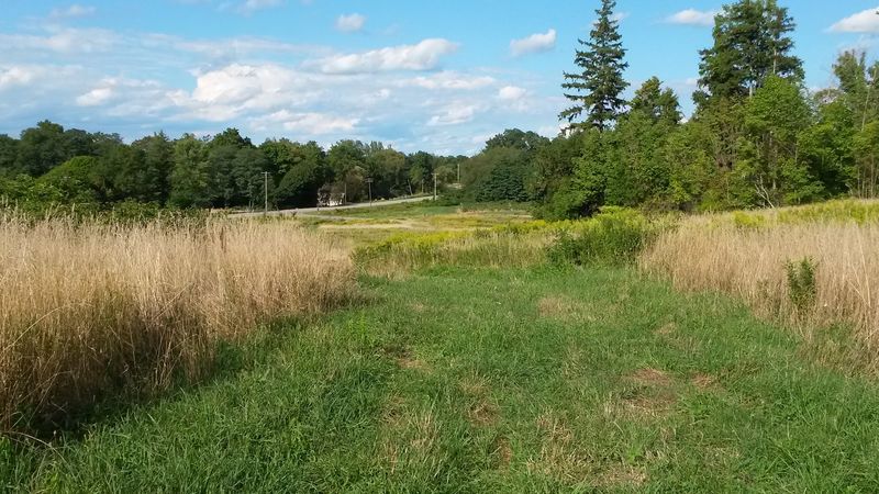 Quiet Parks Made For Slowing Down Quiet Parks Made For Slowing Down