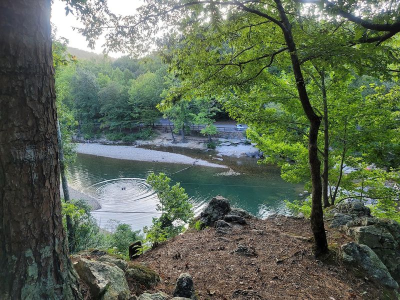 Quiet Pools Under The Ouachita Canopy