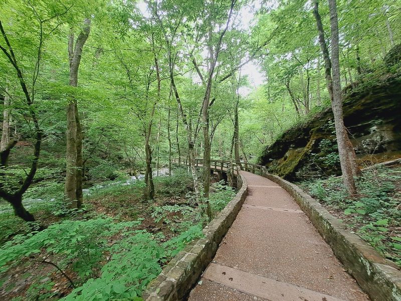 Quiet Roads Beneath The Ozark Canopy Quiet Roads Beneath The Ozark Canopy