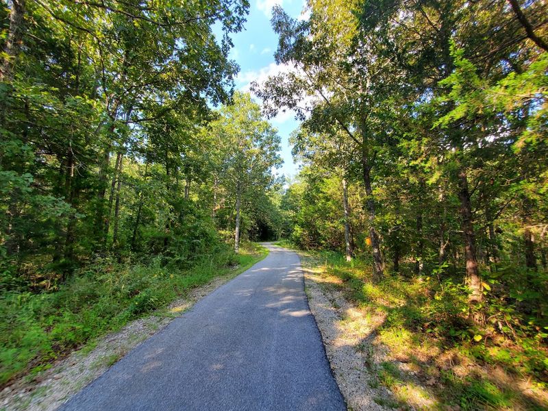 Quiet Roads Curve Beneath The Trees