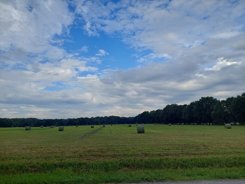Quiet Roads Made For Wandering