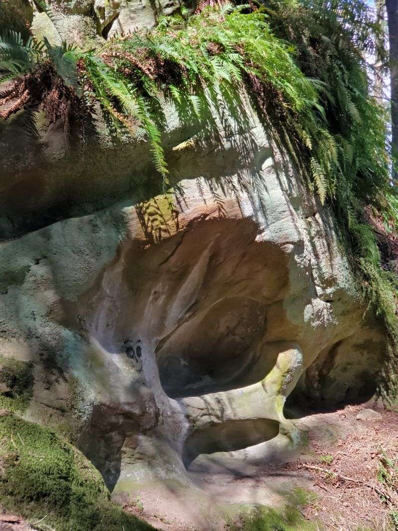 Quiet Rocks And The Outdoor Learning Classroom