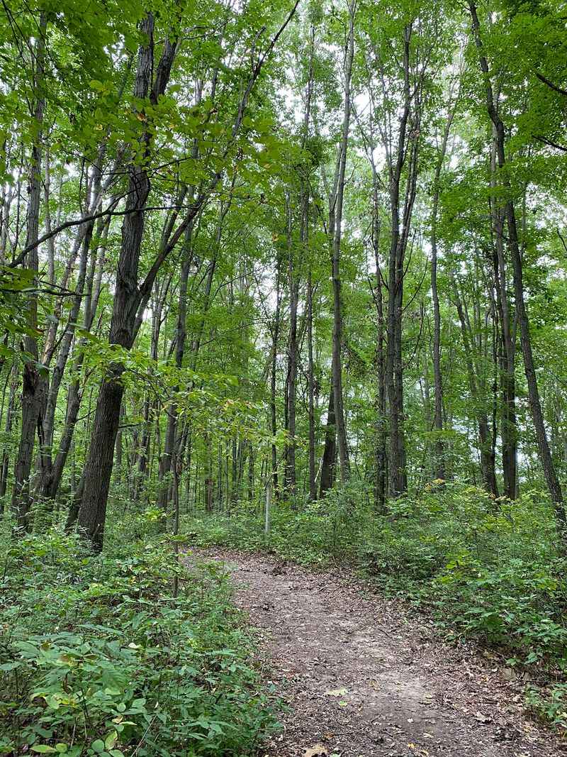 Quiet Science At Pierce Cedar Creek Institute