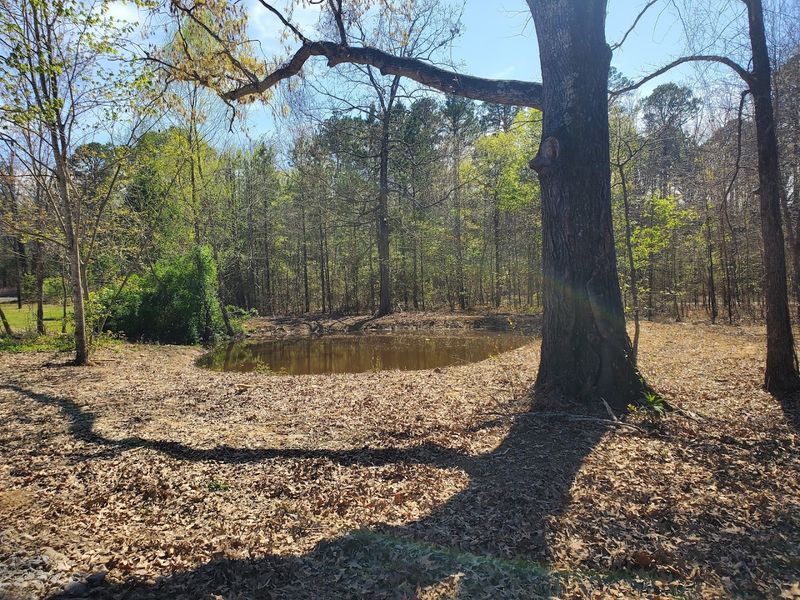 Quiet Shorelines Framed By Ozark Hills