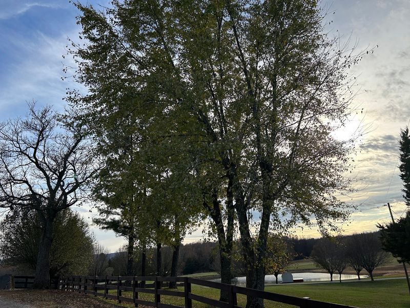 Quiet Side Streets Reward A Slower Wander