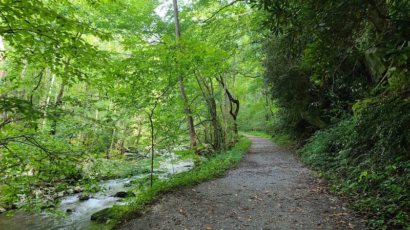Little River Trail Stays With You Long After You Leave