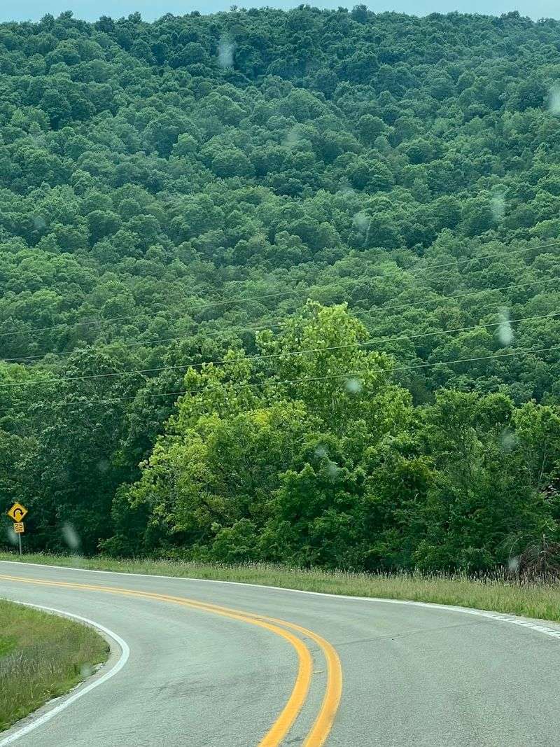 Easy Access To Scenic Bluffs And Forest Trails