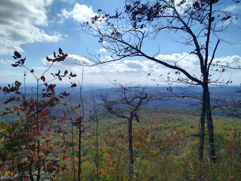 Quiet Trails Along The Rim