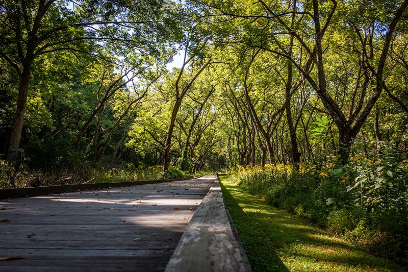 Quiet Trails Along The Water