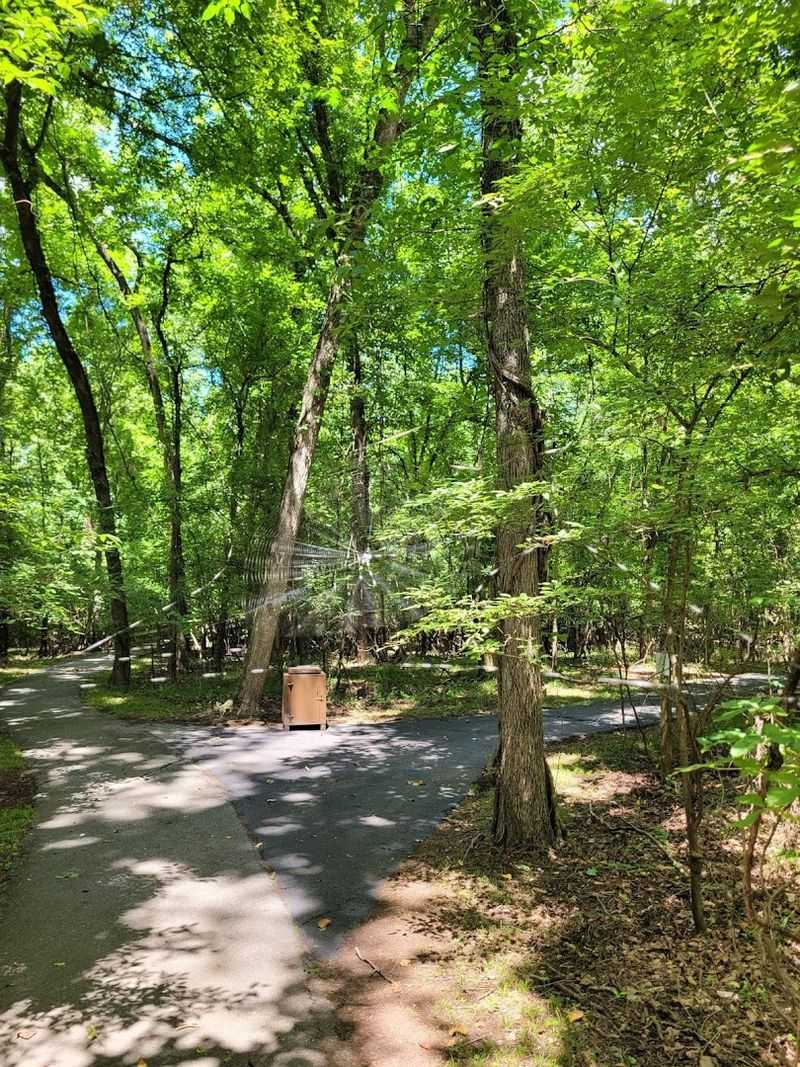 Quiet Trails Through Delta Nature