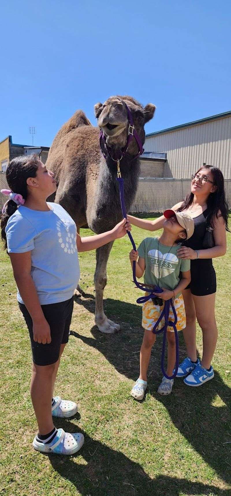 Safari Farm Petting Zoo, Coatesville, Pennsylvania