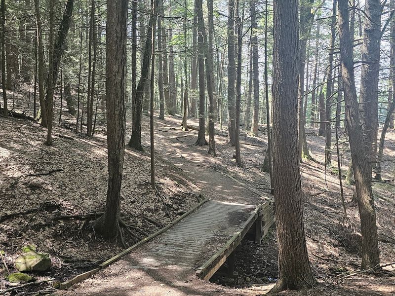 Trails For Every Kind Of Walk