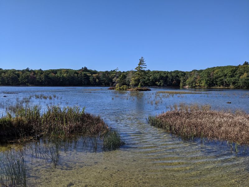 Quiet Water Rewards A Slower Paddle