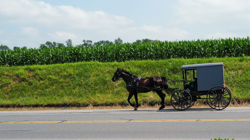 Fresh Food That Actually Comes From Down The Road