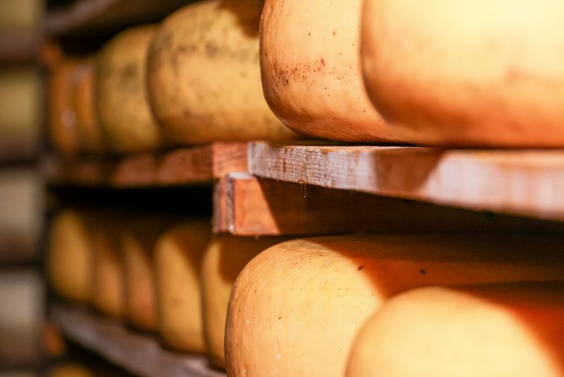 Small-Batch Cheese and Dairy Products