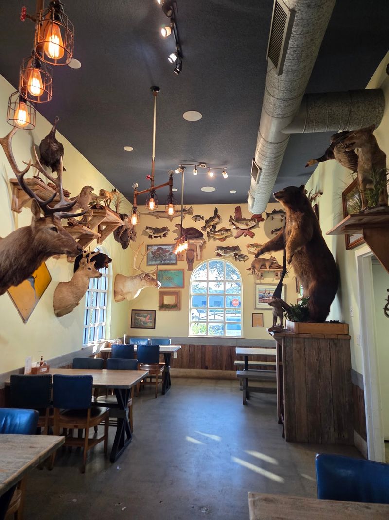 Quirky Decor, Friendly Faces, And Smart Visiting Tips