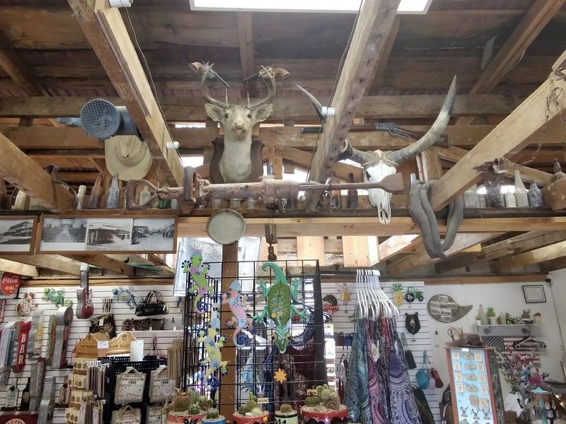 Shopping, Souvenirs, And Desert Charm