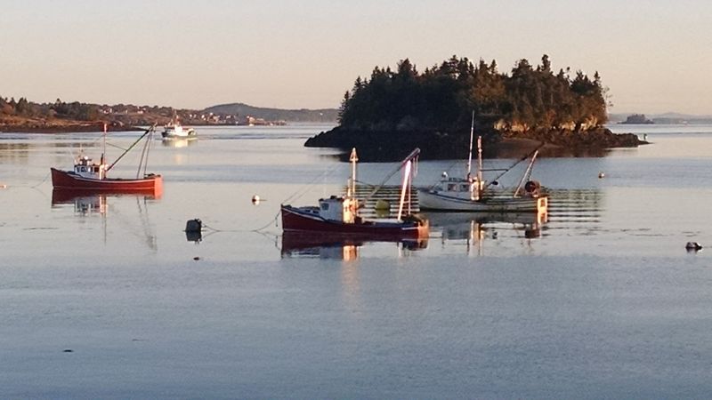 Working Harbor Frozen In Time