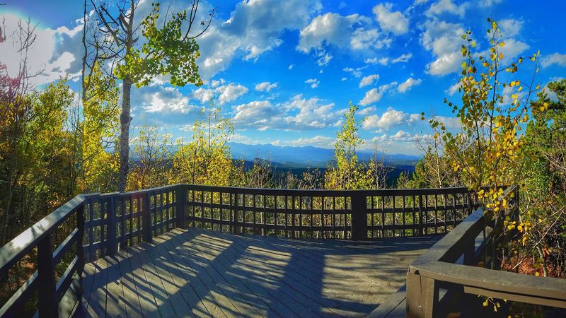 Raccoon Trail: When The View Decides To Follow You Downhill Raccoon Trail: When The View Decides To Follow You Downhill