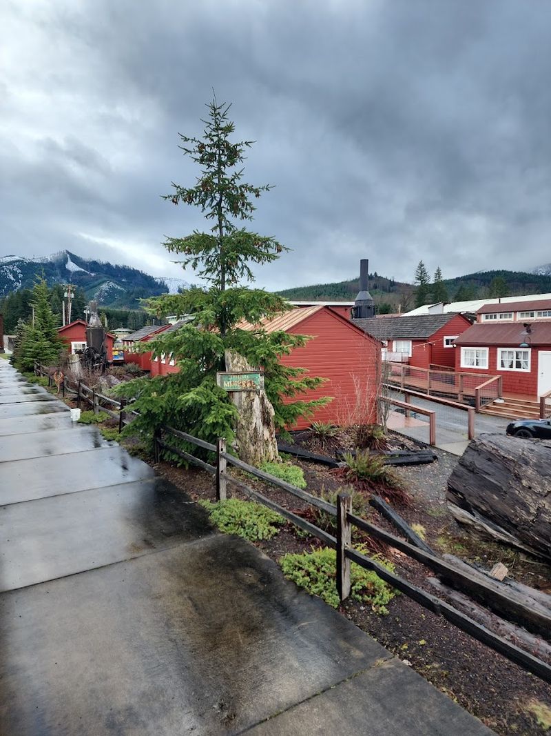 The Logging Museum And The World Of The Mineral Depot