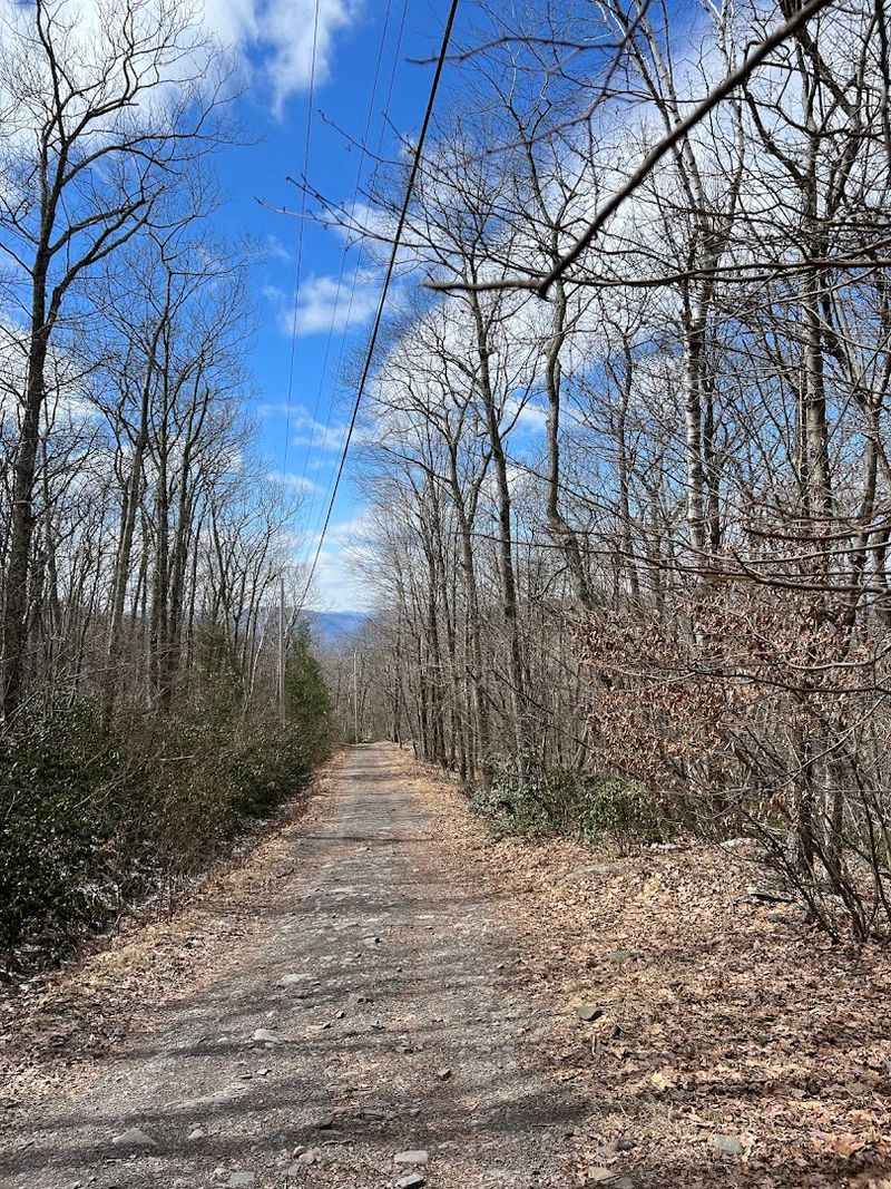 Railroad Grade Trail, White Mountains / Big Lake Area