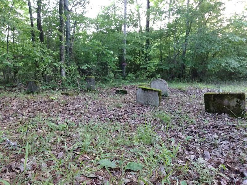 Scientific Explanations Tested But Never Confirmed