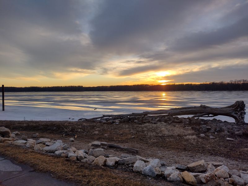 Bald Eagles And Big Skies