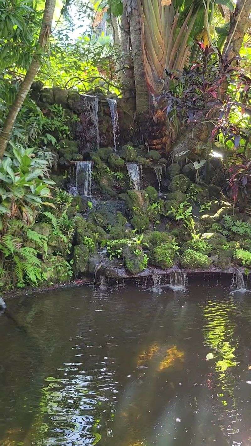A Butterfly Aviary Full Of Living Color