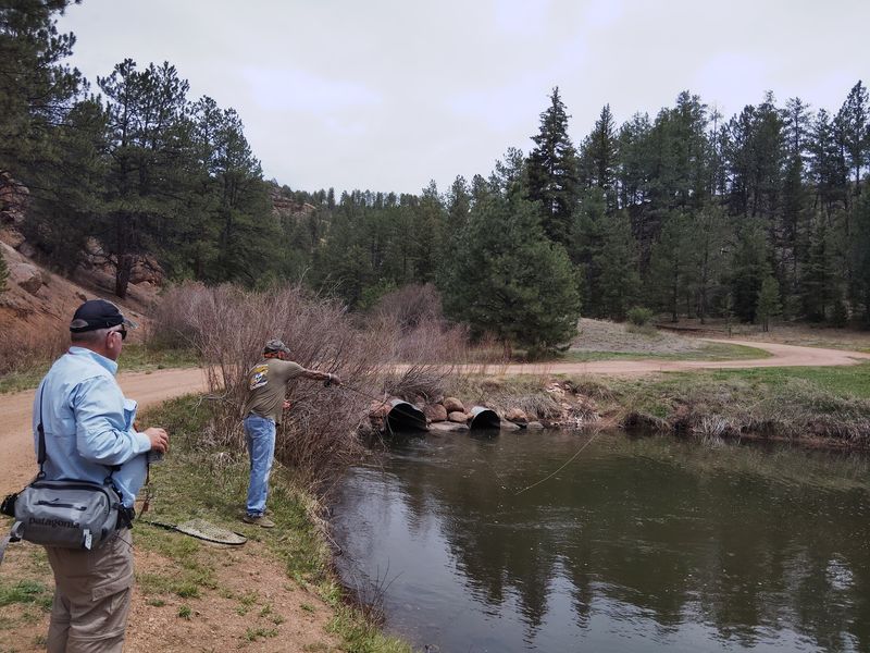 Rainbow Falls Mountain Trout Inc., Woodland Park Rainbow Falls Mountain Trout Inc., Woodland Park