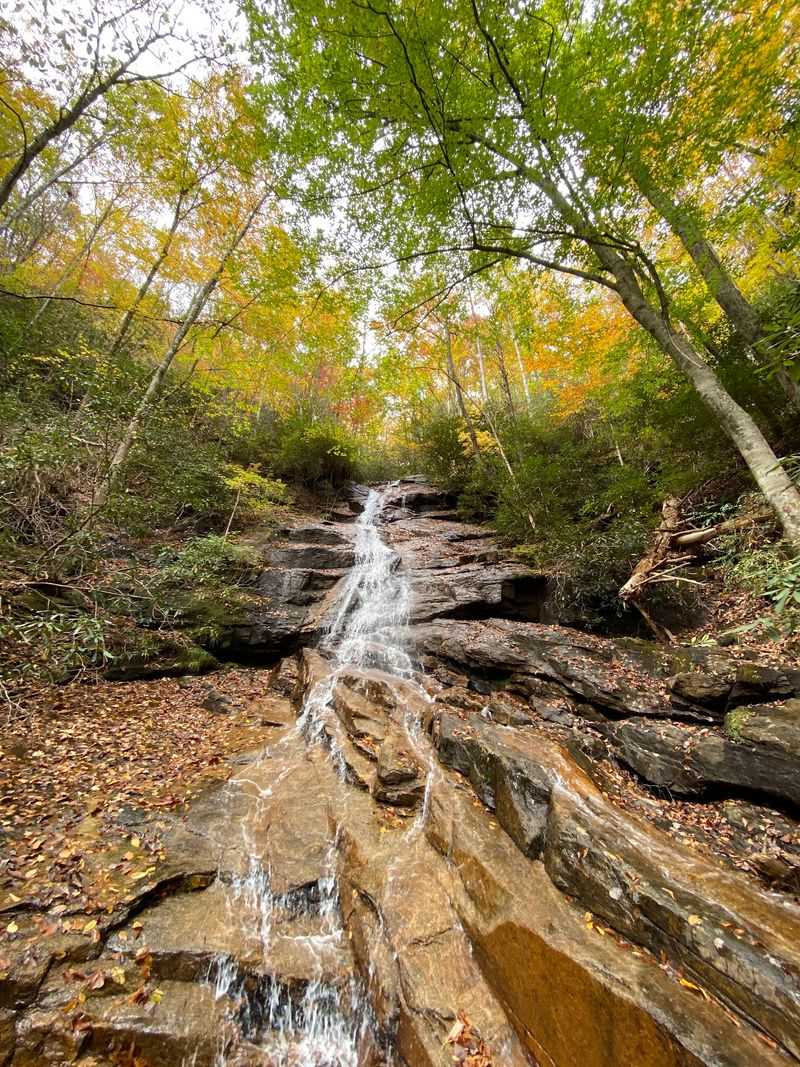 Rainbow Falls Trail - Jones Gap State Park