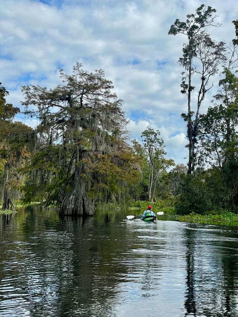 Gum Slough Creek