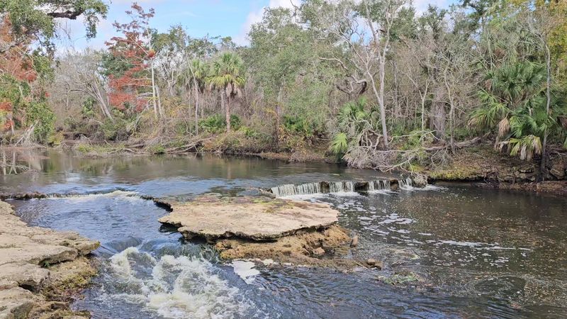 Steinhatchee Falls Park 