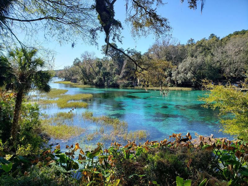 Rainbow Springs State Park, Dunnellon