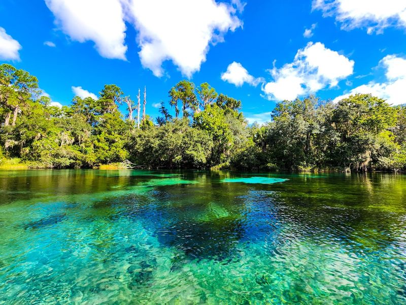 Rainbow Springs State Park, Dunnellon