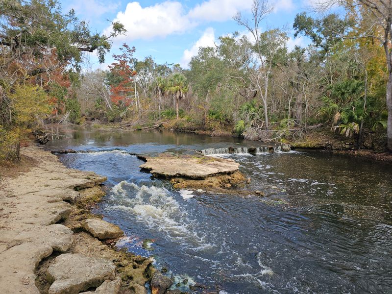 Steinhatchee Falls - Steinhatchee