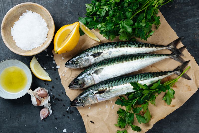 Atlantic Mackerel