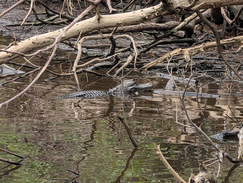 The Canoeing And Kayaking Scene Is Equally Impressive