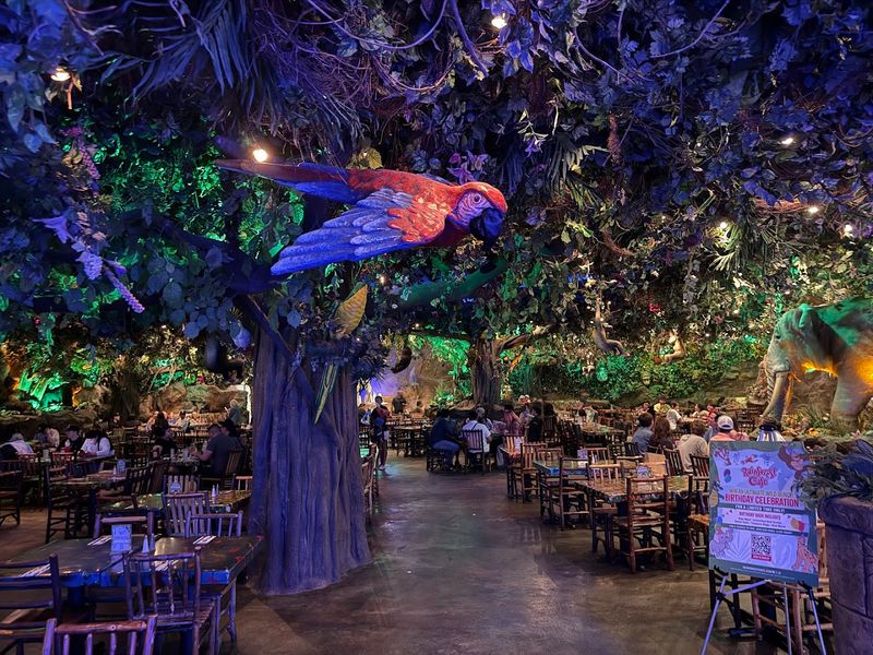 Rainforest Cafe