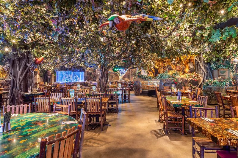 Rainforest Cafe
