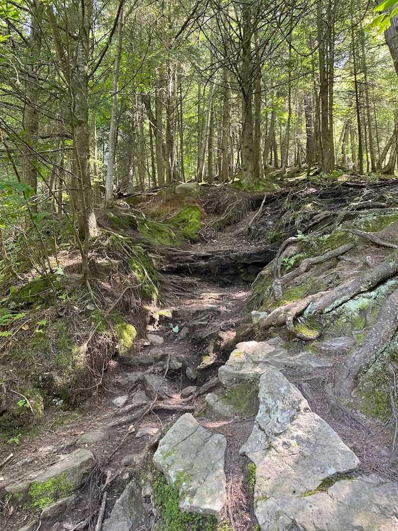 Respect The No Restroom Reality