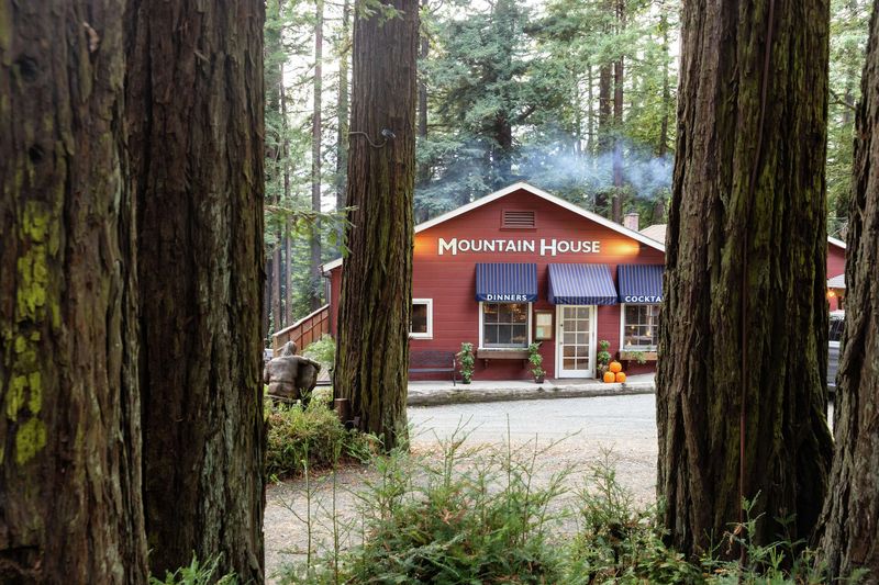 Hidden Forest Treasure At The Mountain House