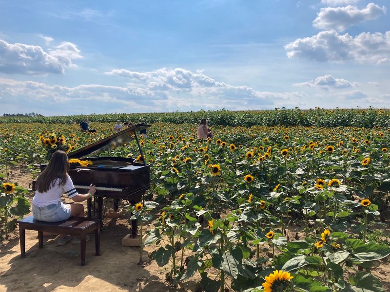 Ramseyer Farms, Wooster
