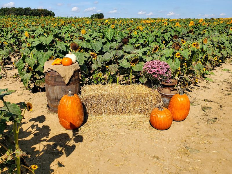 Ramseyer Farms, Wooster