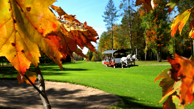 Thunder Bay Resort, Hillman