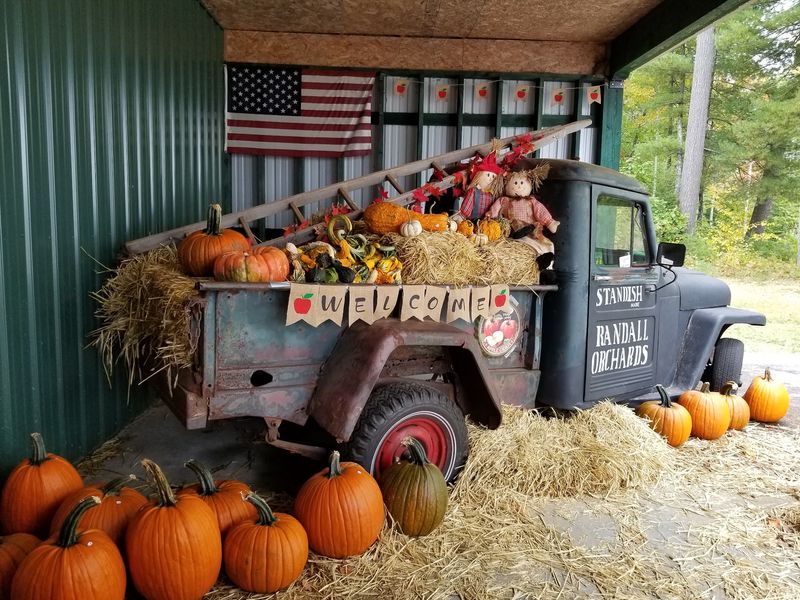 Randall Orchards, Standish
