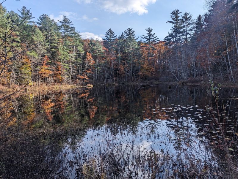 Range Pond State Park, Poland